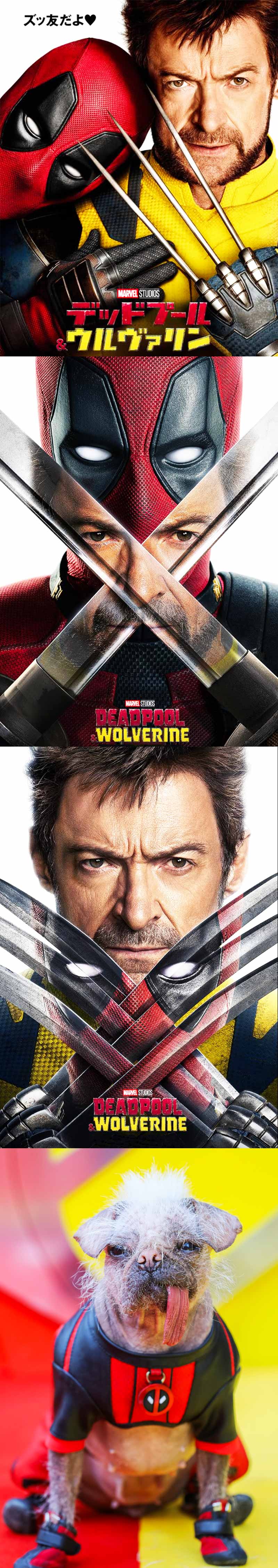 Deadpool & Wolverine Marvel 2024 Film