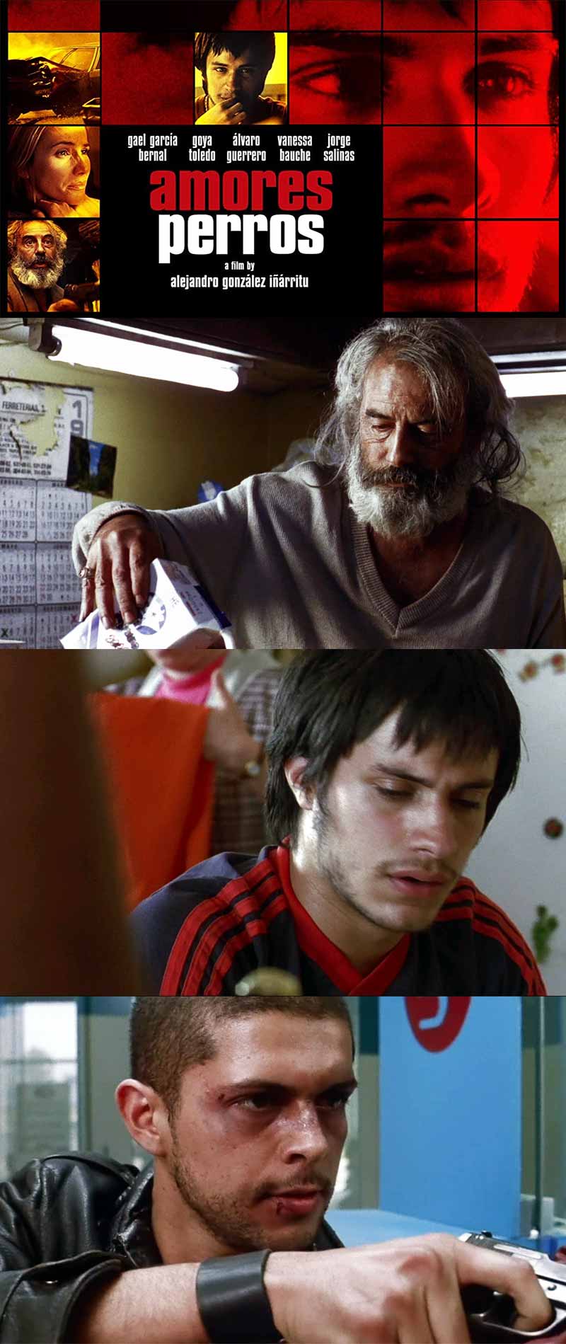 Amores Perros 2000