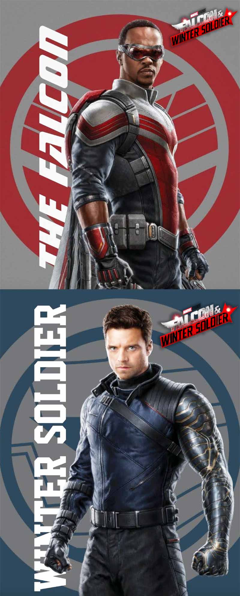 The Falcon and the Winter Soldier Marvel 2021 Series