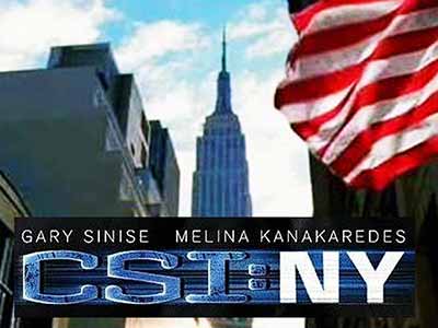 CSI: NY 2004-2013