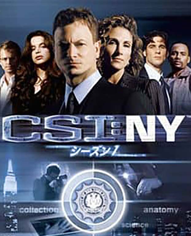 CSI: NY 2004-2013