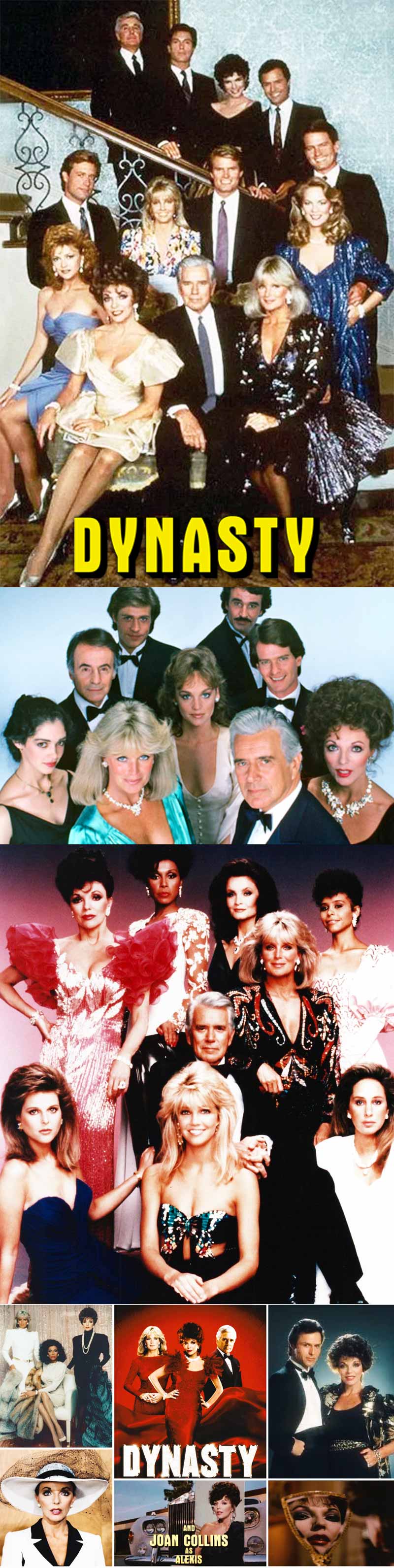 Dynasty 1981-1989 Series