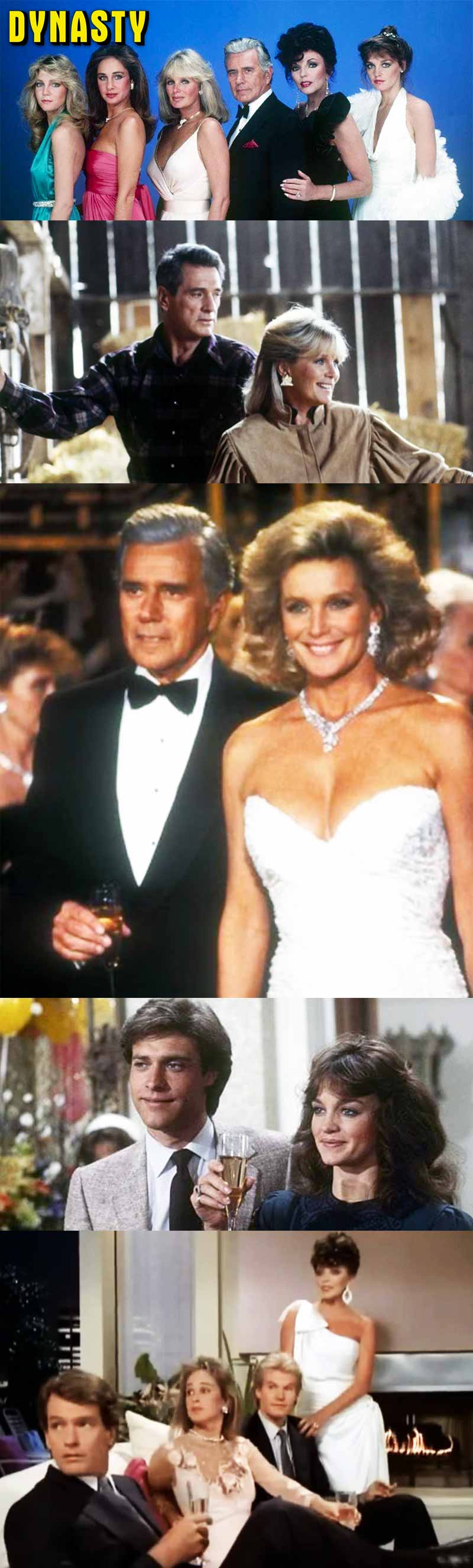 Dynasty 1981-1989 Series