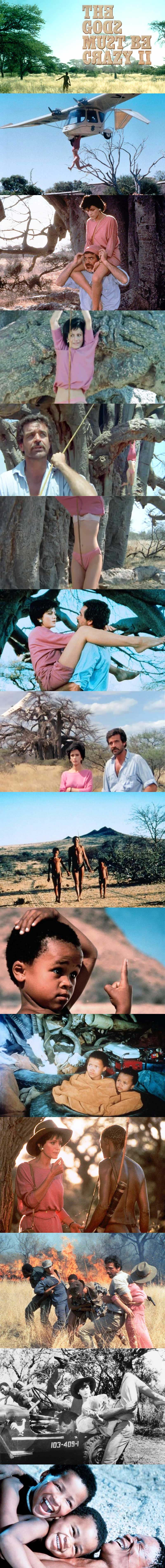 The Gods Must Be Crazy 2 1989 Film