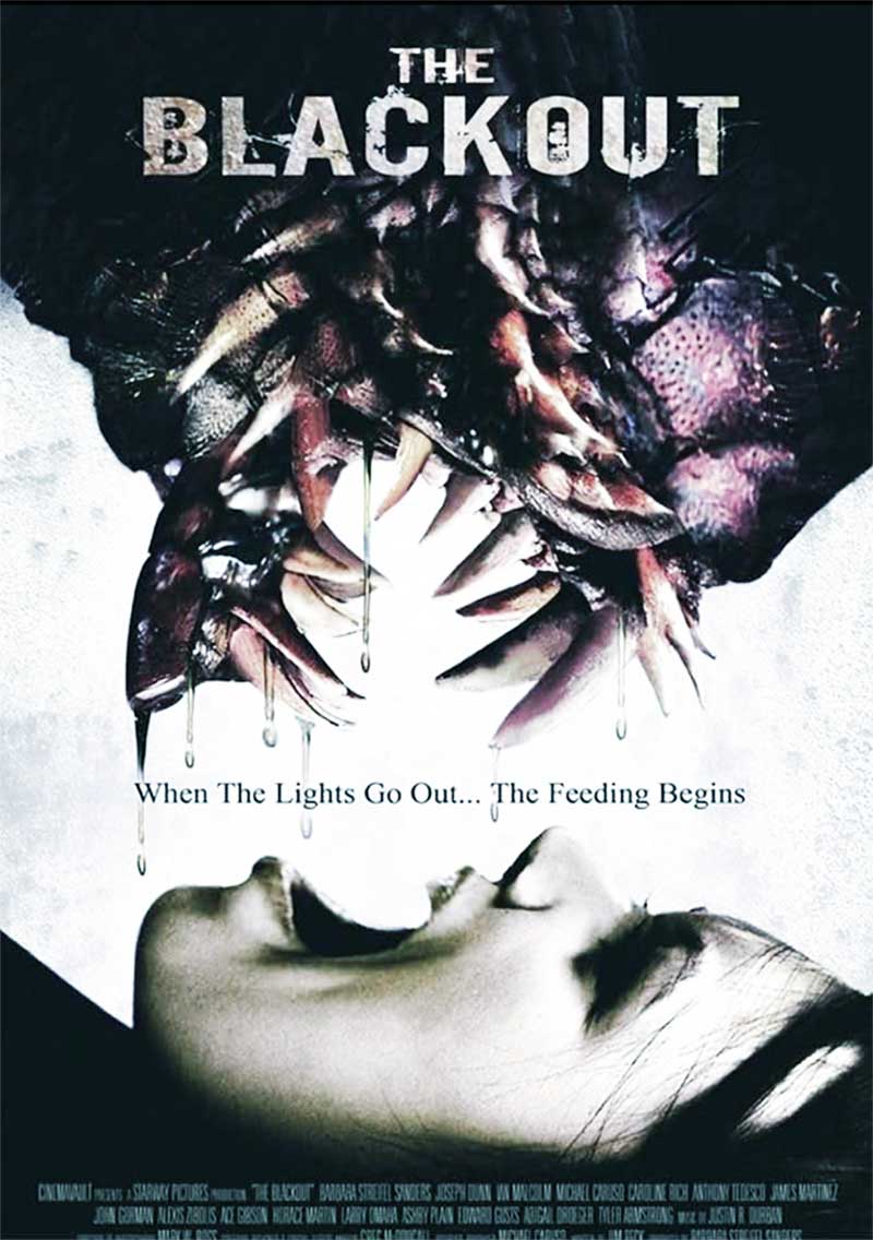 The Blackout 2009 Film