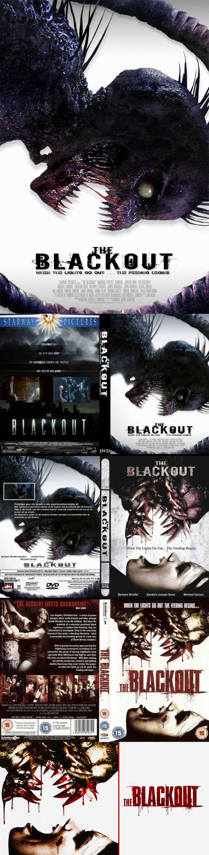 The Blackout 2009 Film