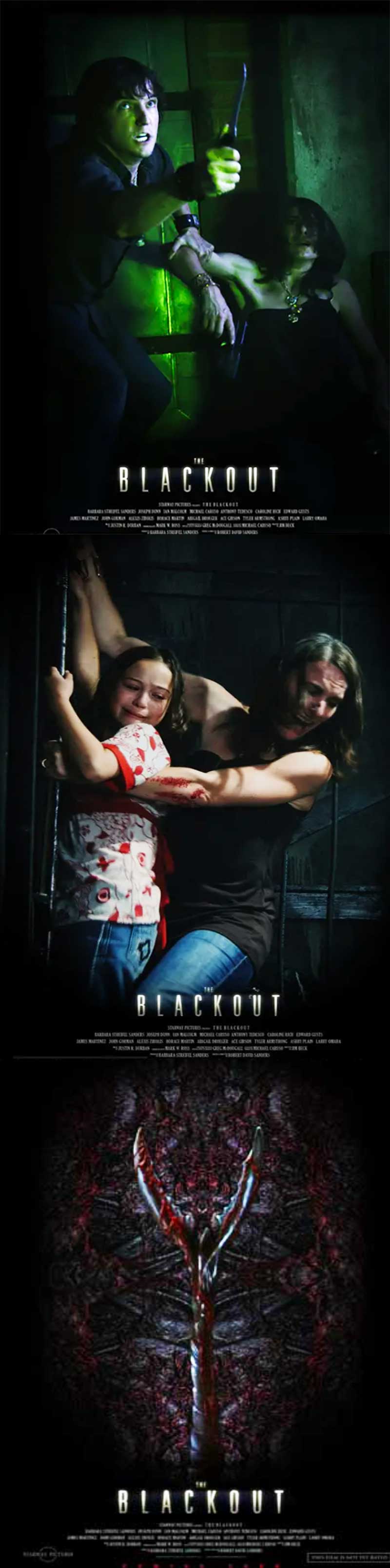 The Blackout 2009 Film