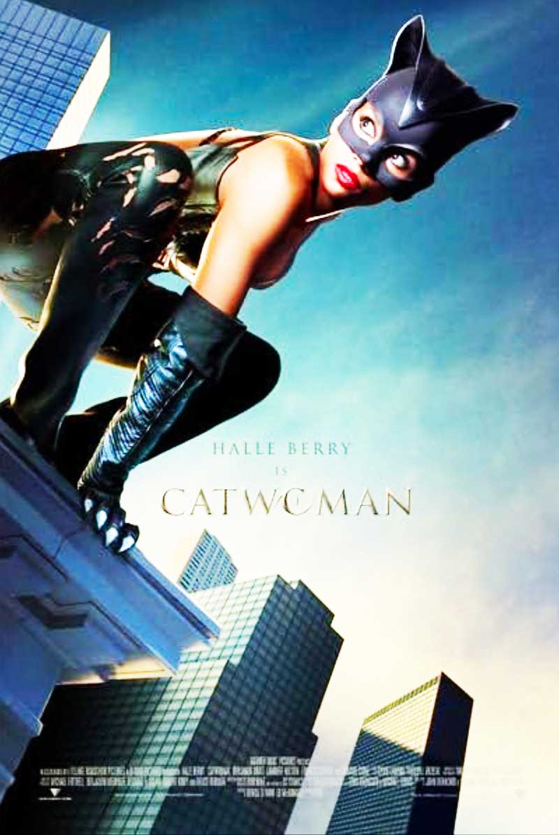 Catwoman DC Comics 2004 Film