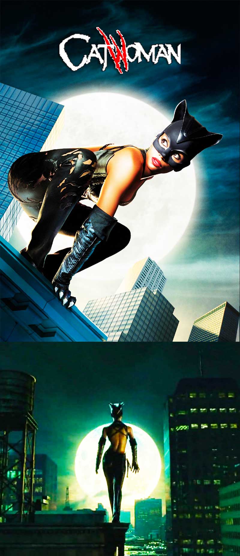 Catwoman DC Comics 2004 Film