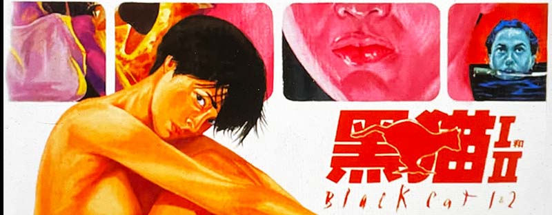 Black Cat 1991