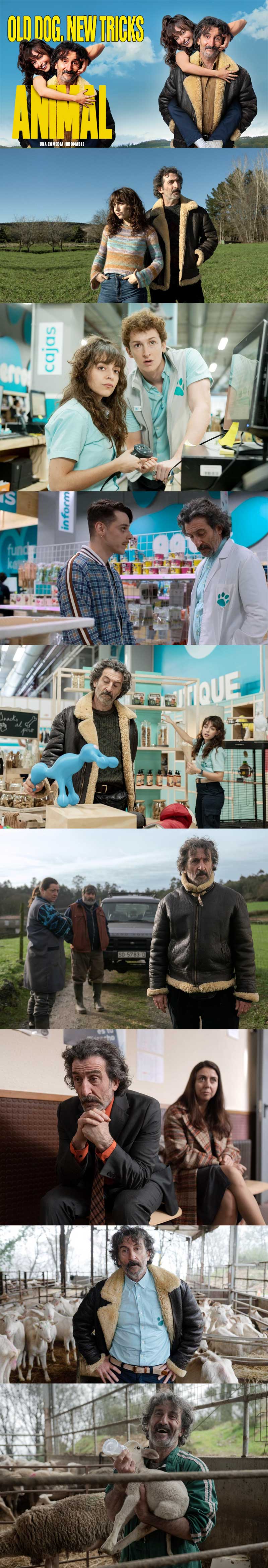 Old Dog New Tricks Animal 2025 Series