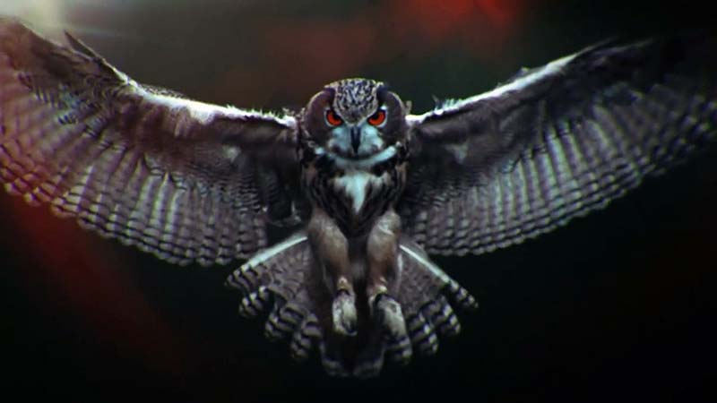 100 Code - The Hundred Code 2015