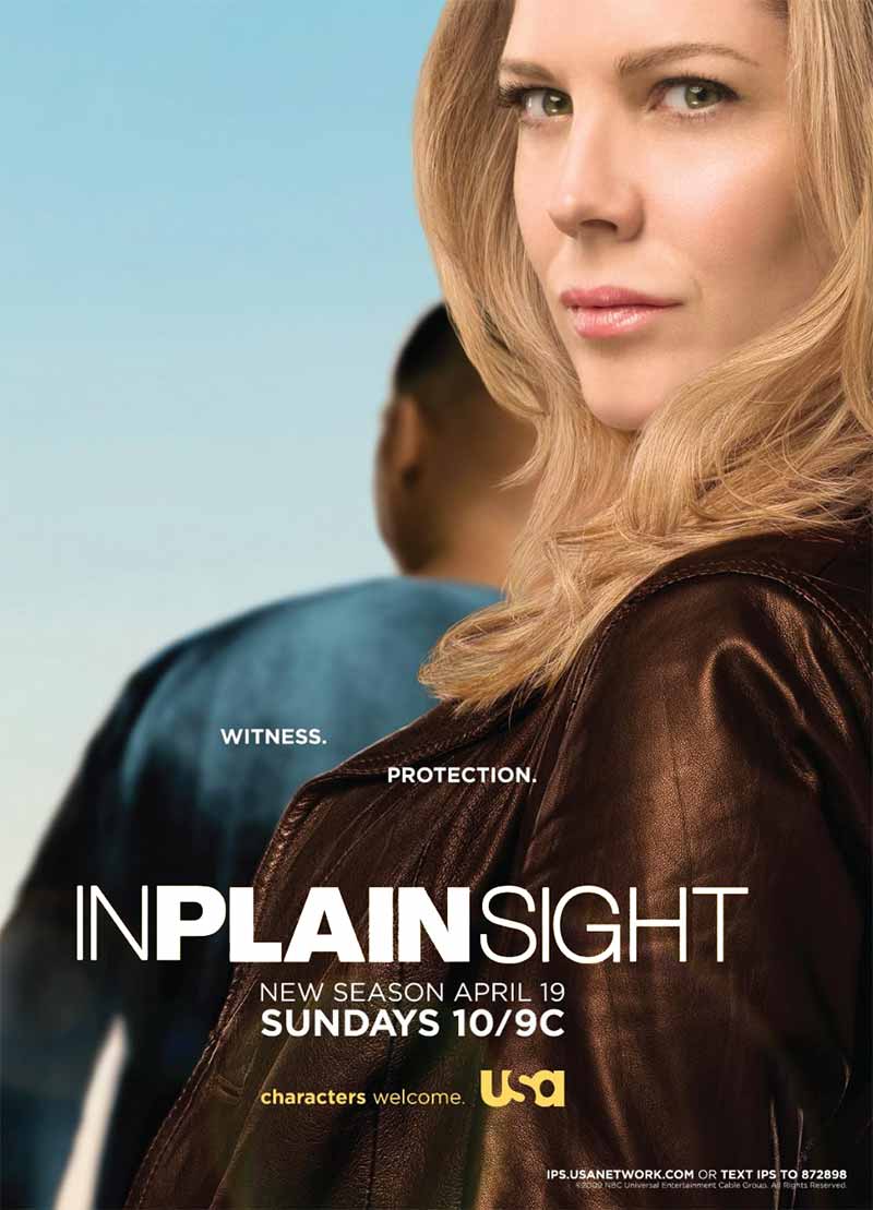 In Plain Sight 2008-2012 American Series